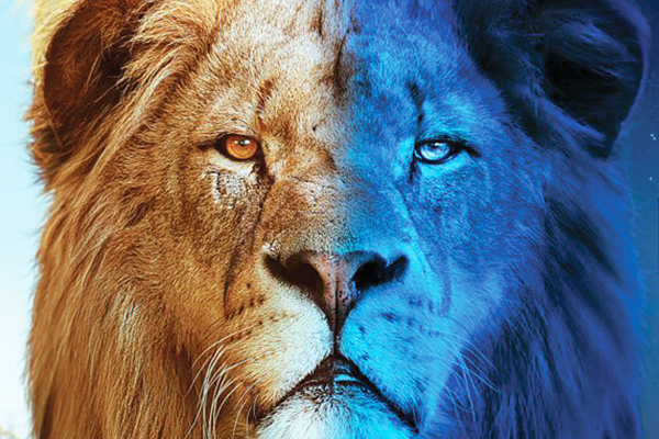 600x400-BigCats NATURE: Big Cats 24/7